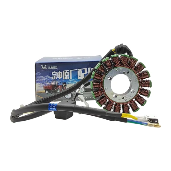 Bobine de stator magnéto de moto Rts pour bobines CG125 CG150 CG200 Accessoires de pièces de rechange